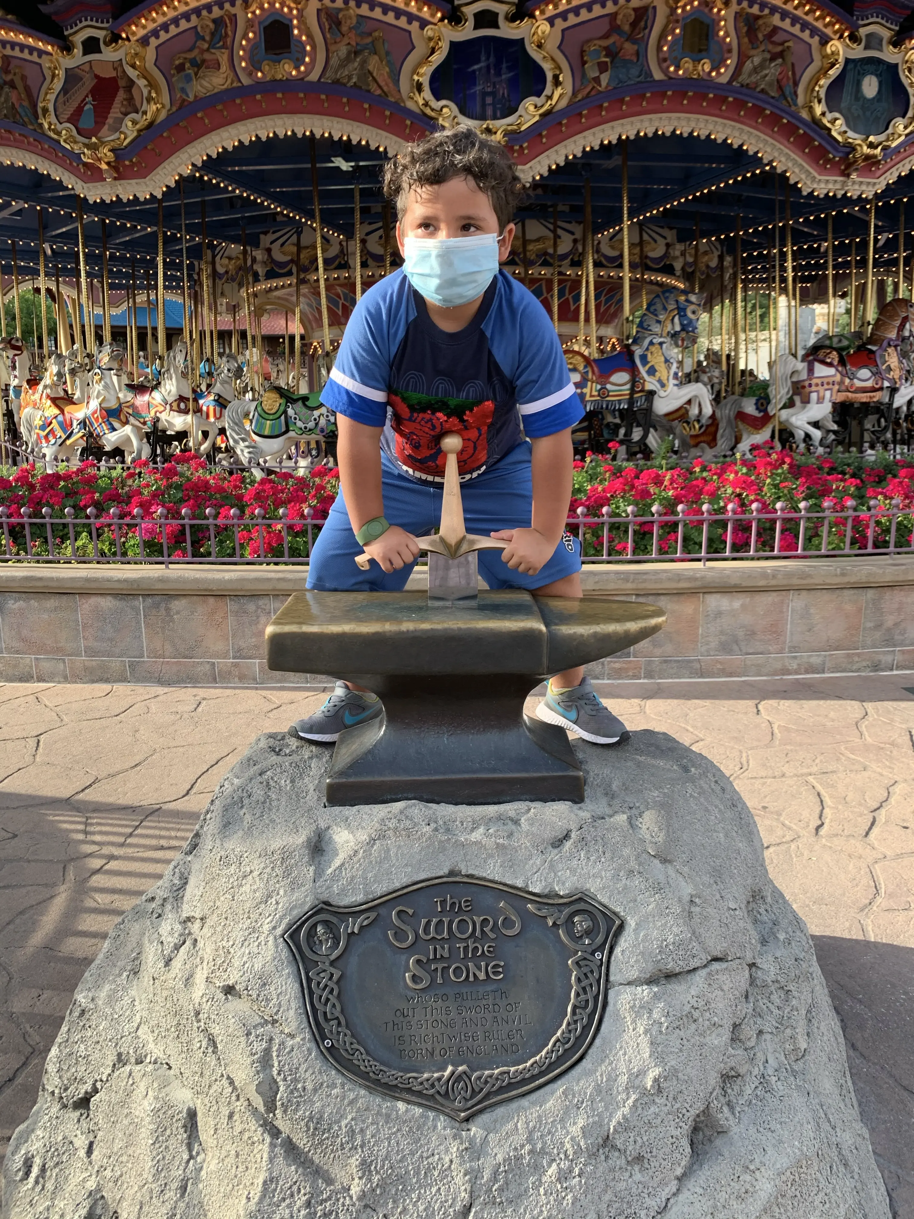 Photo 113